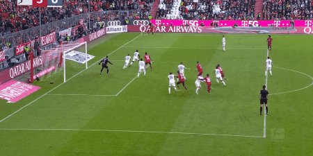 1635002255362030285.gif bay hof 7.gif